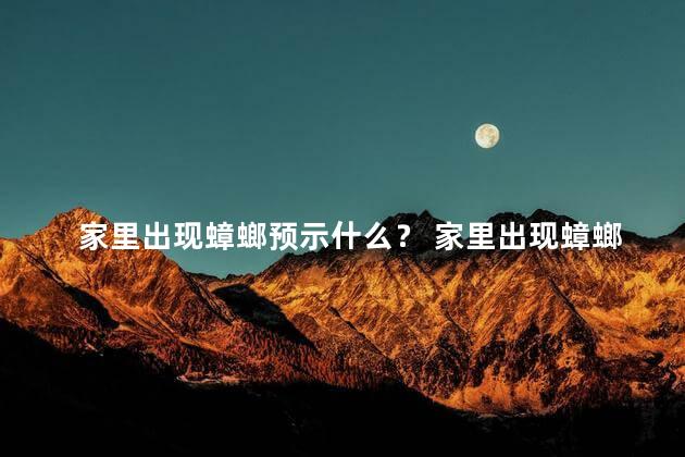 家里出现蟑螂预示什么？ 家里出现蟑螂可以直接打死吗